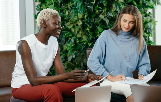 Como a elaboração de estudos ambientais contribui para a redução de passivos ambientais e legais da Ênfase Consultoria Ambiental