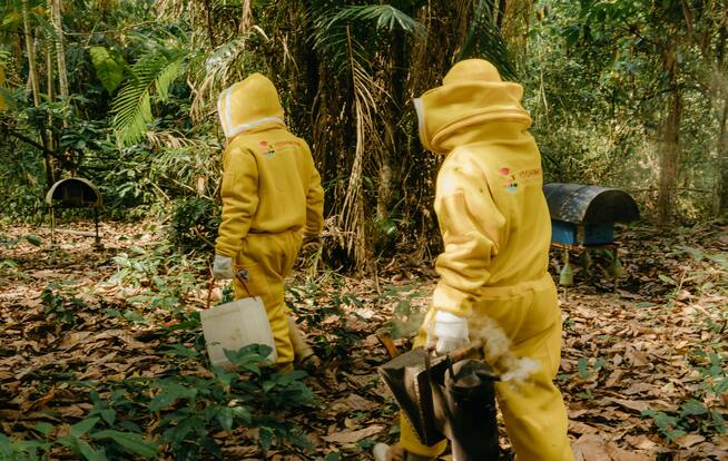 Como estruturar um Programa de monitoramento ambiental eficiente para empreendimentos licenciados da Ênfase Consultoria Ambiental