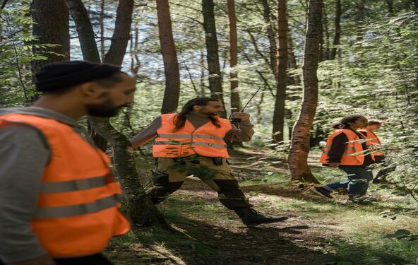 Diferença entre Monitoramento de Fauna e Levantamento de Fauna da Ênfase Consultoria Ambiental