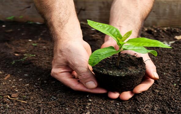 Licenciamento Ambiental CETESB da Ênfase Consultoria Ambiental