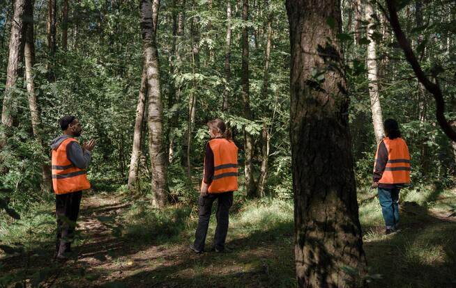 Programa de monitoramento ambiental e sua importância na prevenção de riscos e passivos ambientais da Ênfase Consultoria Ambiental