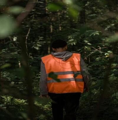 A importância da educação ambiental no contexto do Monitoramento de Fauna da Ênfase Consultoria Ambiental