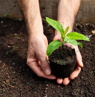 Licenciamento Ambiental CETESB da Ênfase Consultoria Ambiental
