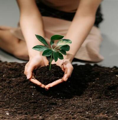 Licenciamento Ambiental IBAMA da Ênfase Consultoria Ambiental