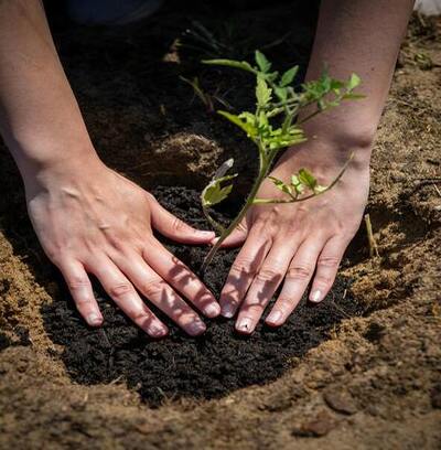 Licenciamento Ambiental: mitos e verdades da Ênfase Consultoria Ambiental