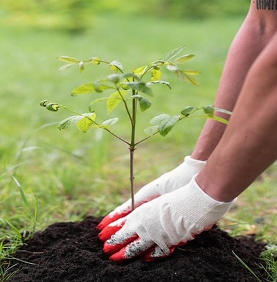 Licenciamento Ambiental: o que todo colaborador deve saber da Ênfase Consultoria Ambiental