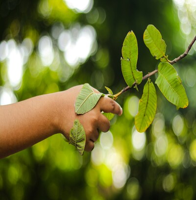 O que muda com a nova Lei Geral do Licenciamento Ambiental? da Ênfase Consultoria Ambiental