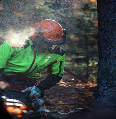 Programa de monitoramento ambiental para indústrias: o que considerar da Ênfase Consultoria Ambiental