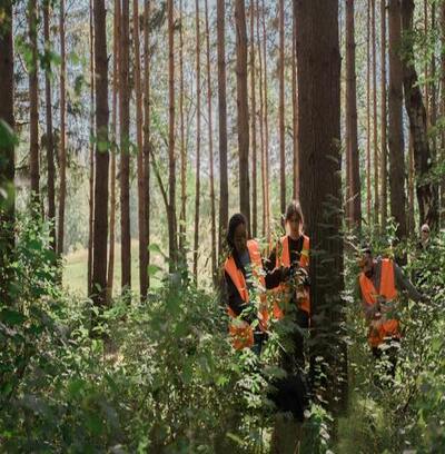 Qual a Importância do Monitoramento Ambiental? da Ênfase Consultoria Ambiental
