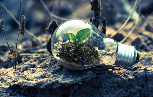 Consultoria em gestão ambiental em Minas Gerais da Ênfase Consultoria Ambiental
