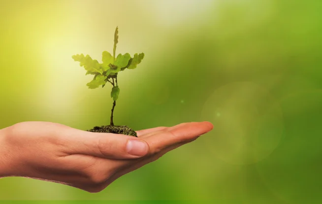 Estudo de Impacto de Vizinhança em Minas Gerais da Ênfase Consultoria Ambiental